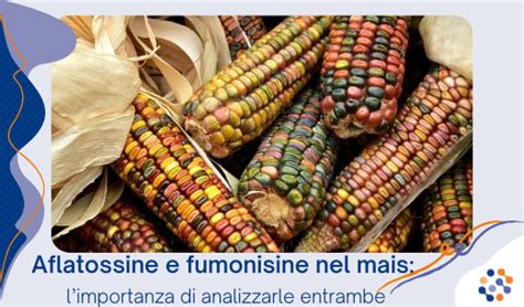 Aflatossine