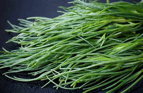 Agretti freschi