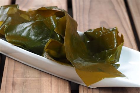 Alga Kombu