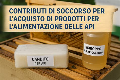 Alimentazione delle api