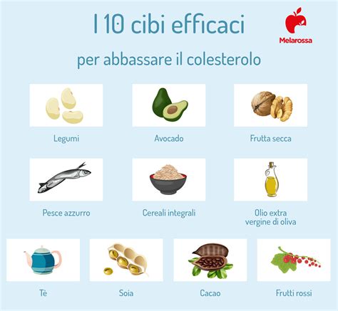 Alimenti per il colesterolo
