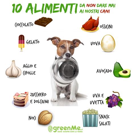 Alimenti pericolosi per cani