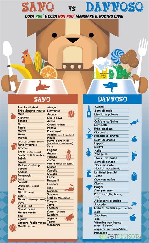 Alimenti pericolosi per cani e gatti