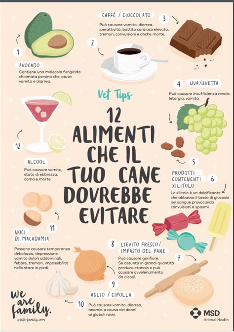 Alimenti tossici per i cani