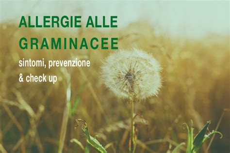 Allergia alle graminacee