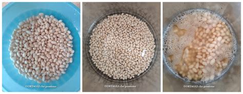 Ammollo dei Fagioli Secchi