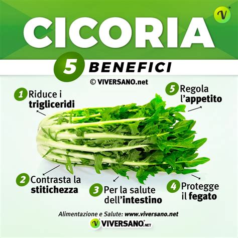 Benefici cicoria