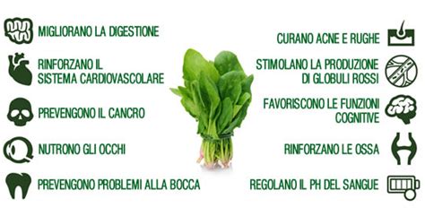 Benefici degli Spinaci