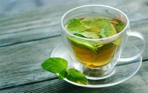 Benefici del tè alla menta