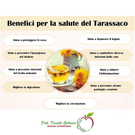 Benefici del tarassaco