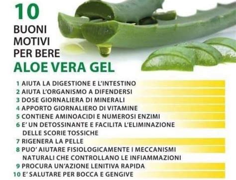 Benefici dell'Aloe Vera