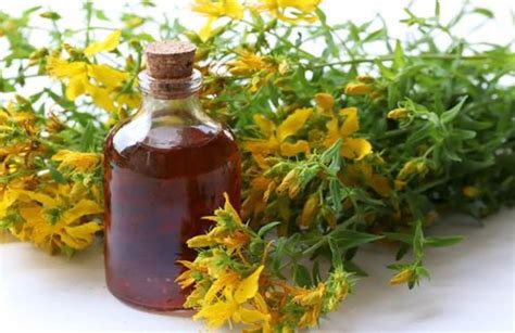 Benefici dell'olio di iperico
