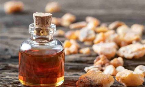 Benzoino (Styrax benzoin)