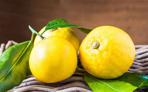 Bergamotto di Calabria