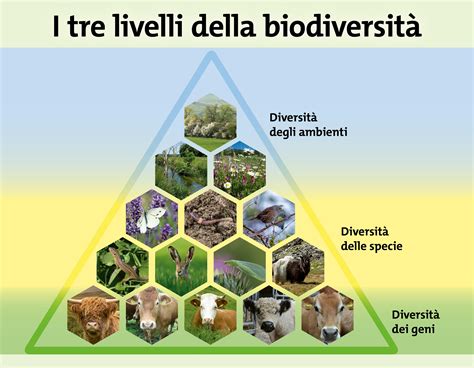 Biodiversità