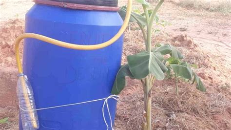 Biofertilizzante fogliare