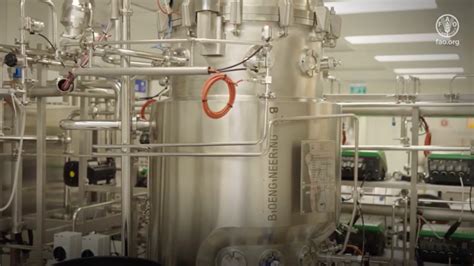 Bioreattore per carne coltivata