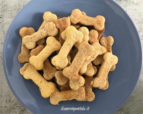 Biscotti per Cani Senza Farina