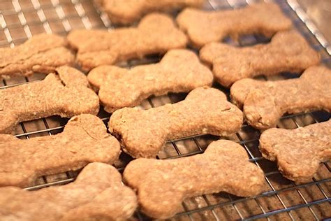 Biscotti per cani