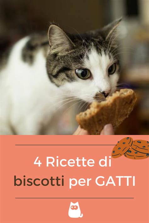 Biscotti per gatti fatti in casa