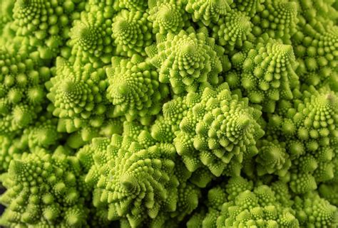 Broccolo Romanesco e Matematica