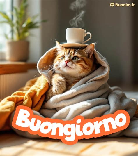 Buongiorno