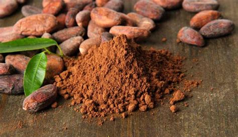 Cacao Amaro e Digestione