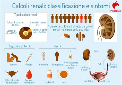 Calcoli Renali Sintomi