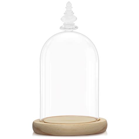 Campana in vetro con base in legno
