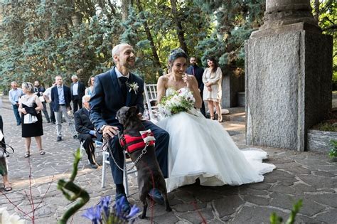 Cane al matrimonio