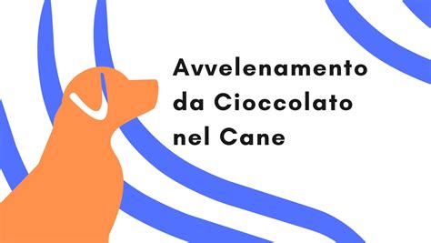 Cane e cioccolato
