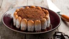 Charlotte con cream cheese al cioccolato