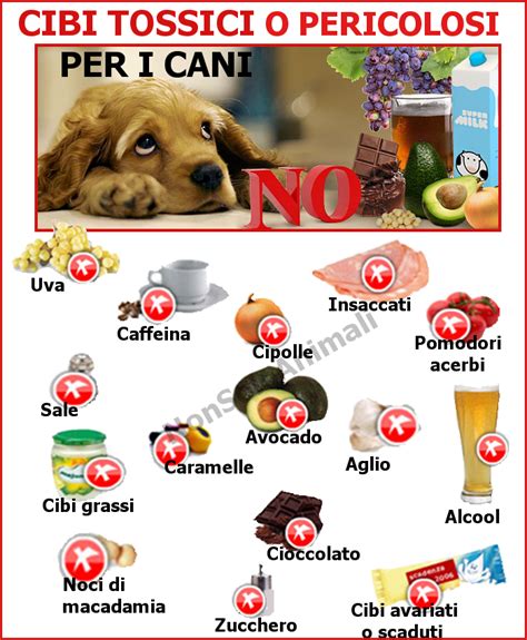 Cibi pericolosi per cani