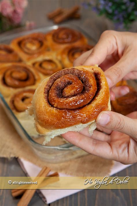 Cinnamon Rolls Lievitati