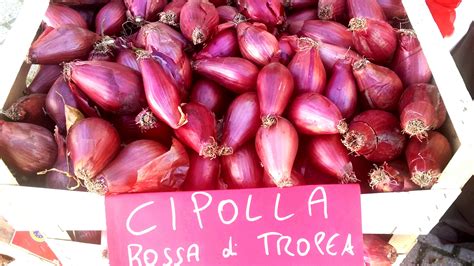 Cipolla Rossa di Tropea