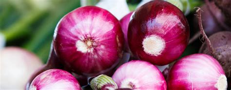 Cipolle fresche