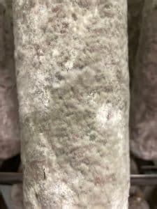 Colori della muffa sul salame