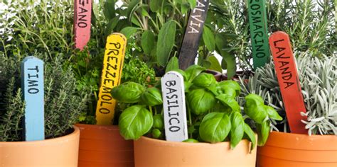 Coltivare erbe aromatiche in balcone