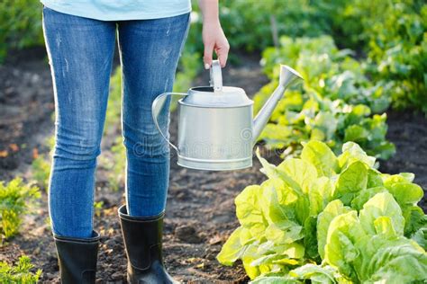 Coltivazione delle piante in giardino