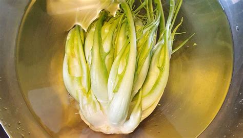 Come Pulire le Puntarelle