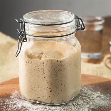 Come conservare il lievito madre