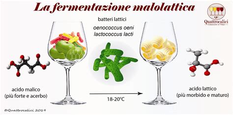 Come evitare la fermentazione malolattica