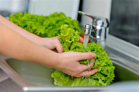 Come lavare l'insalata