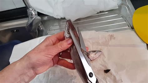 Come pulire il merluzzo