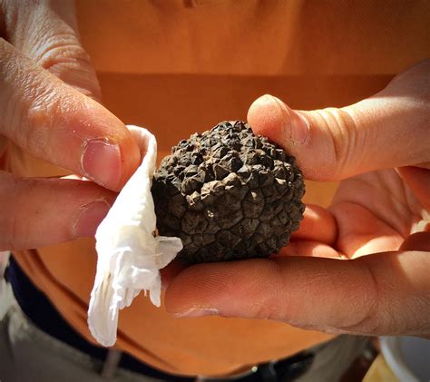 Come pulire il tartufo