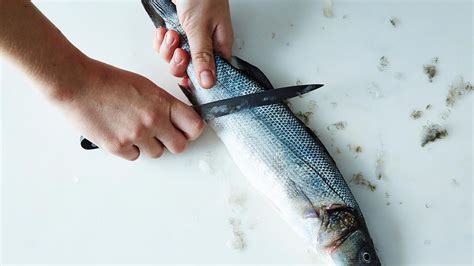 Come squamare il pesce