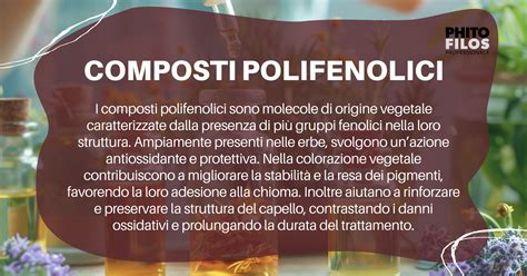 Composti polifenolici contenuti in olio di semi