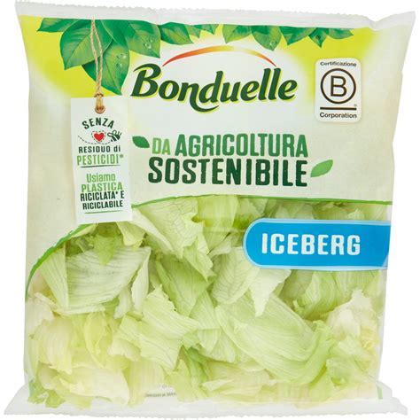Condimenti per Insalata Iceberg