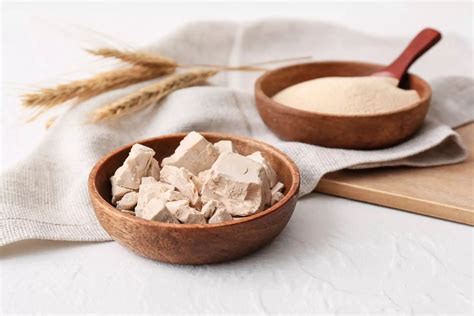 Congelare il lievito di birra