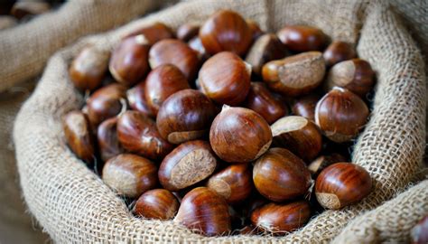 Conservare le castagne